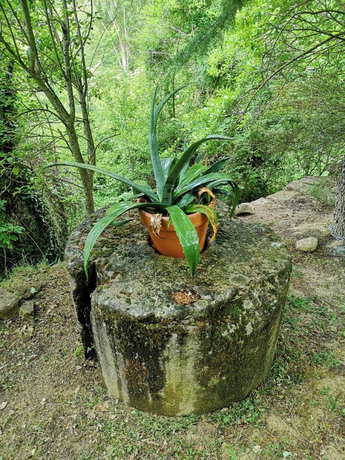 Casa Rural Ardetxal A 16Km De Logrono Y Laguardia Vinaspre المظهر الخارجي الصورة